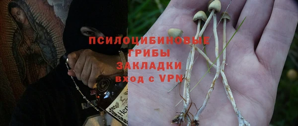 Альфа ПВП Магас